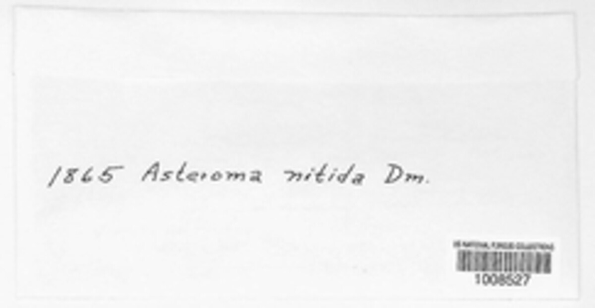 Asteroma nitidum image